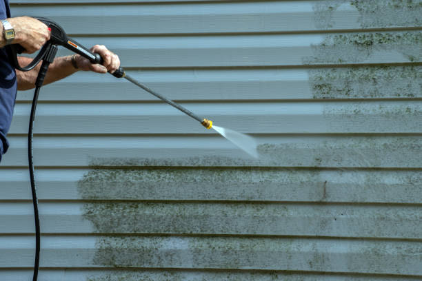 Best Roof Washing  in Bridgehampton, NY